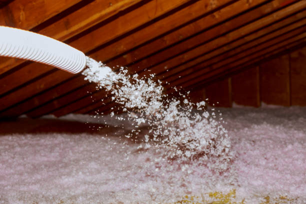 Best Insulation Installation Services in Hemet, CA
