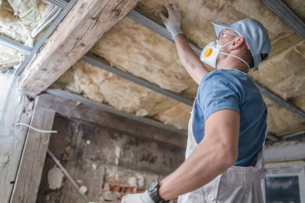 Best Insulation Materials and Products in Hemet, CA